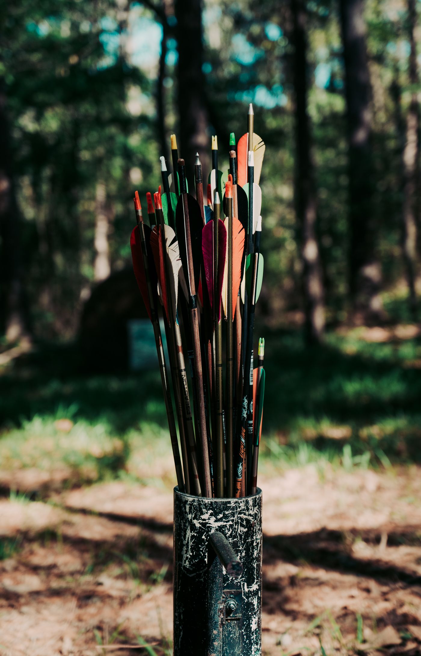 Arrows standing in a quiver tube on a woodland course